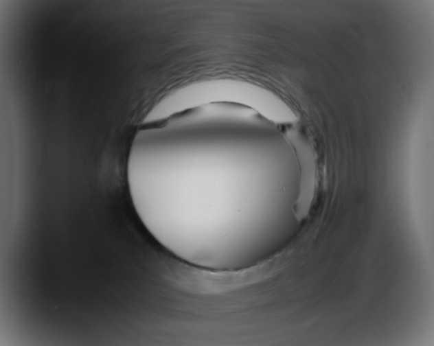 X0000087750039200705291042