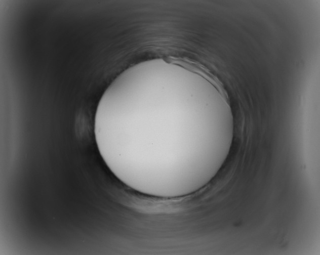 X0000087750040200705291042