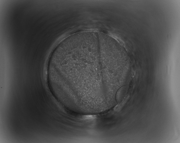 X0000087750053200705291042