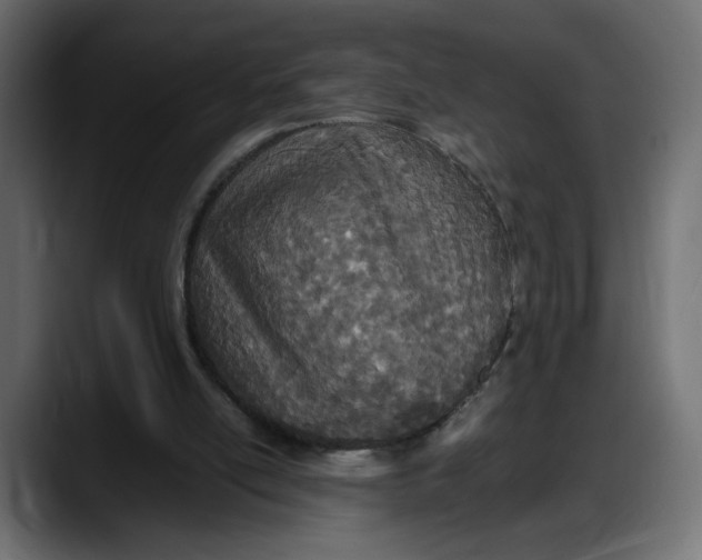 X0000087750054200705291042