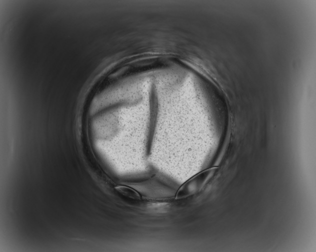 X0000087750055200705291042