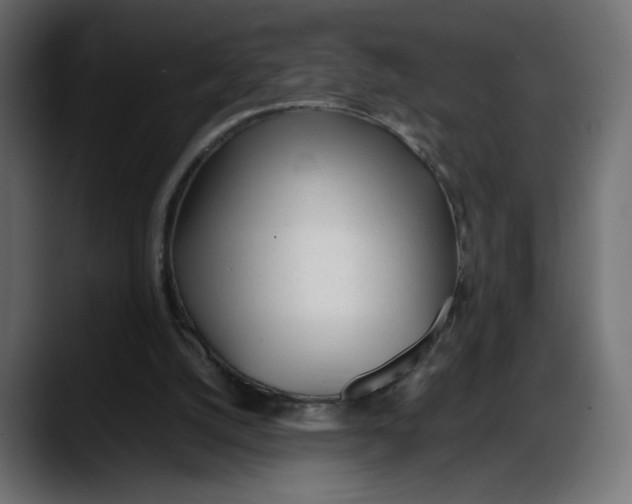 X0000087750056200705291042