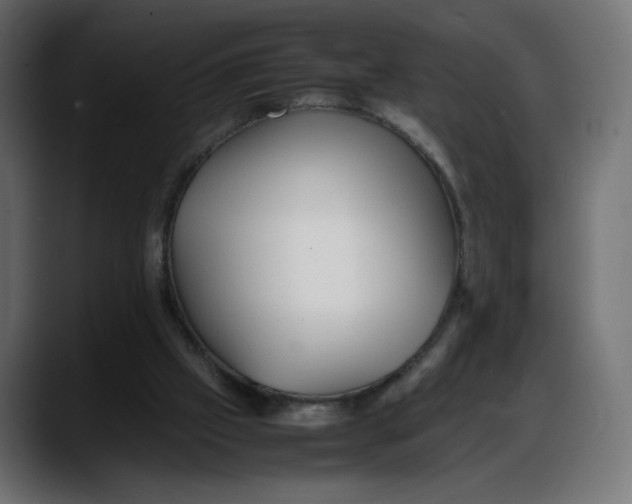 X0000087750057200705291042