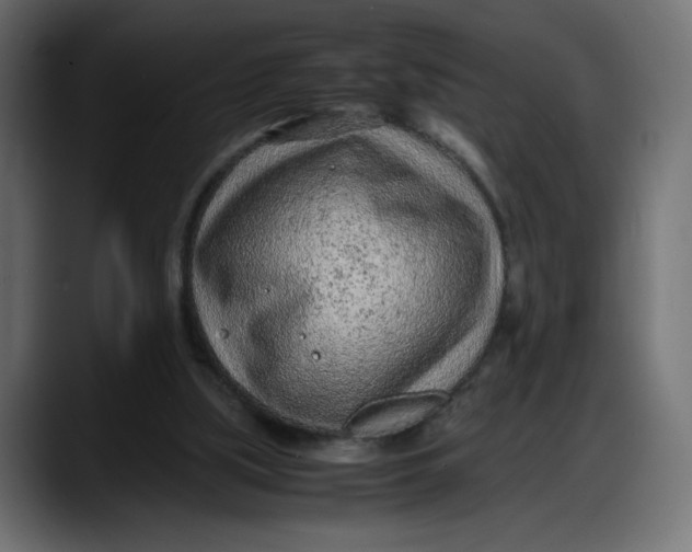 X0000087750059200705291042