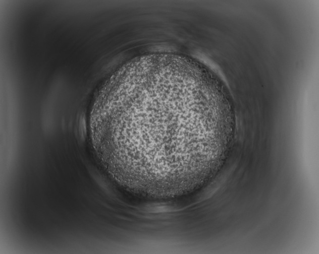 X0000087750061200705291042