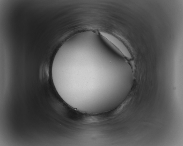 X0000087750062200705291042