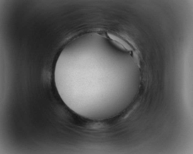 X0000087750063200705291042