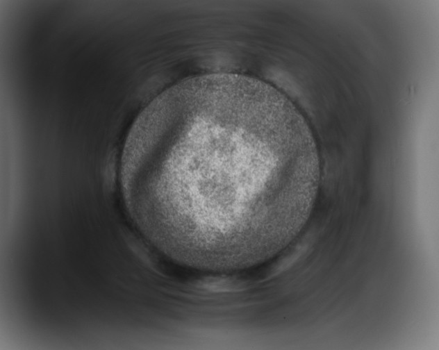 X0000087750065200705291042