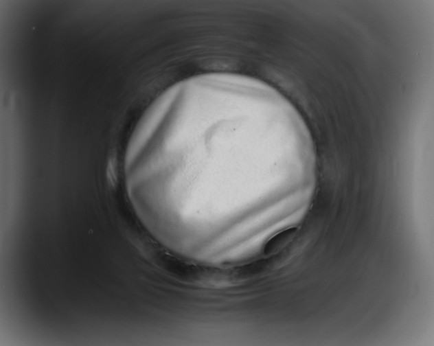 X0000087750069200705291042