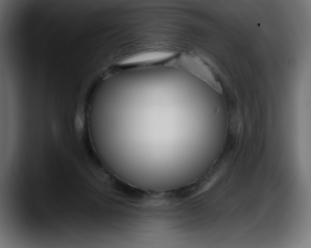 X0000087750072200705291042