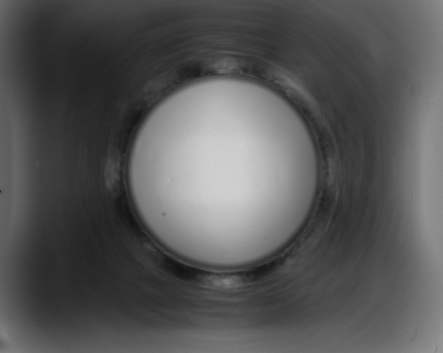 X0000087750073200705291042