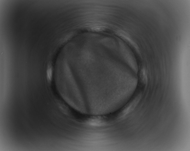 X0000087750076200705291042