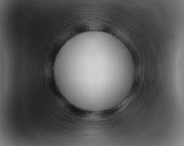 X0000087750078200705291042