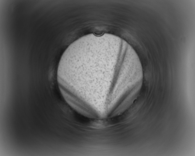 X0000087750079200705291042