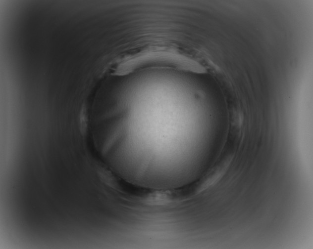 X0000087750080200705291042