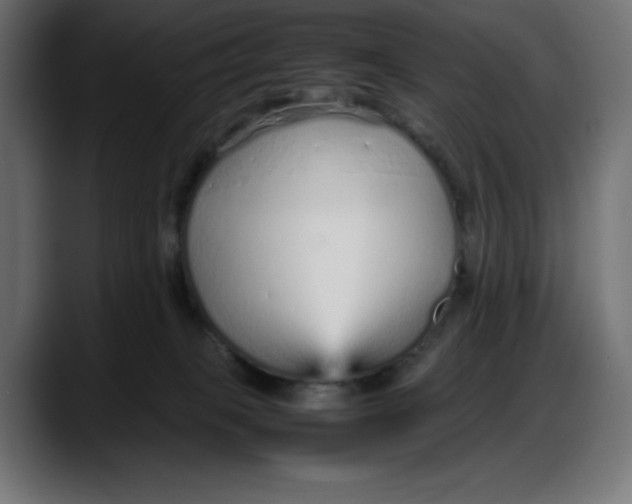 X0000087750085200705291042