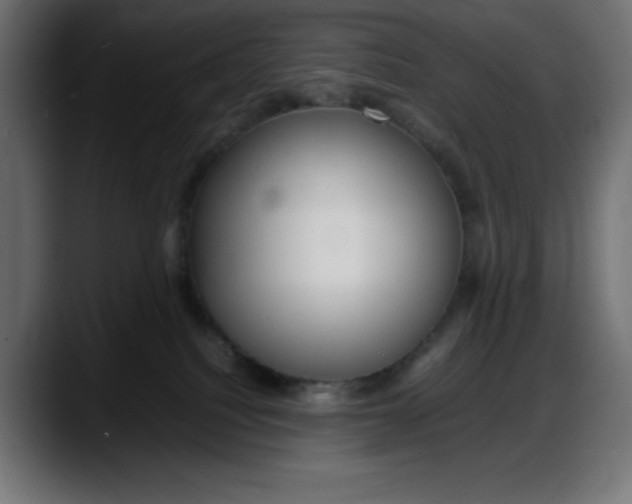 X0000087750088200705291042