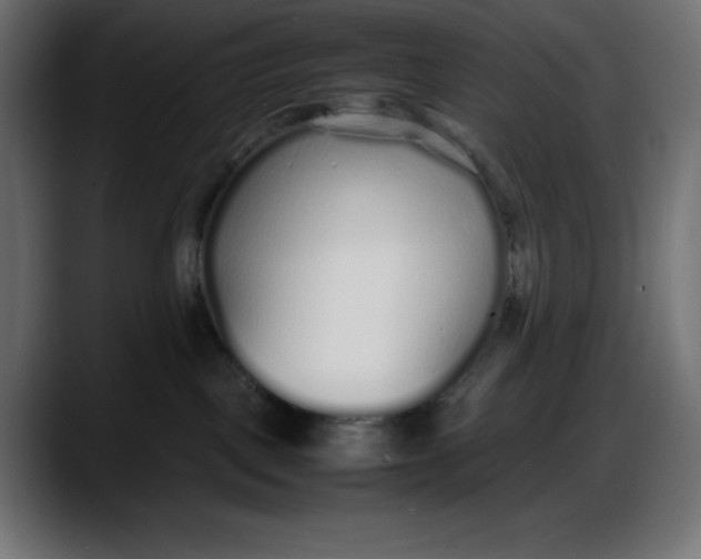 X0000087750093200705291042