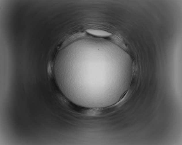 X0000087750094200705291042