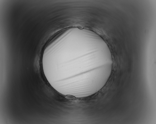 X0000087750098200705291042