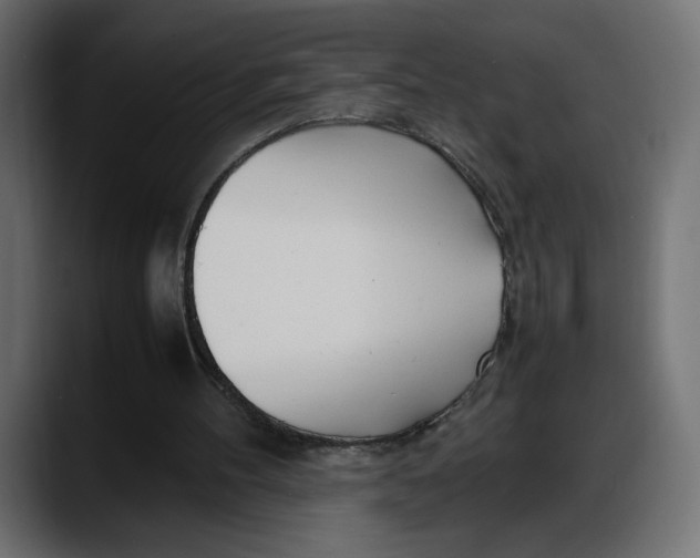 X0000087750100200705291042