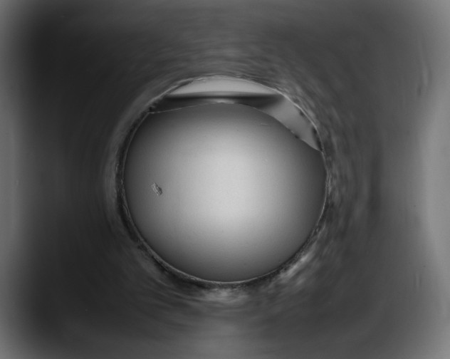 X0000087750101200705291042