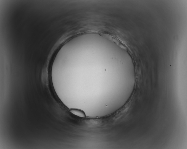 X0000087750102200705291041