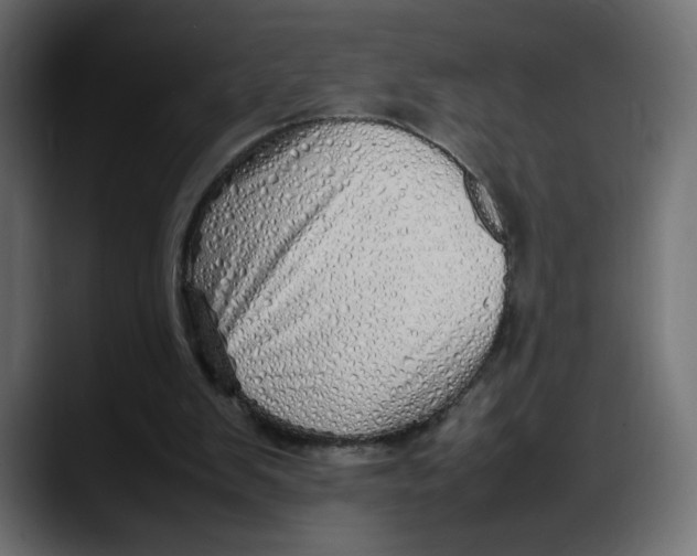 X0000087750103200705291041