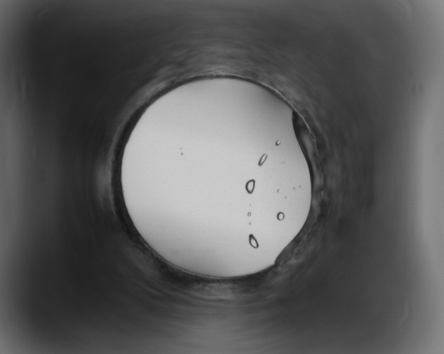 X0000087750104200705291041