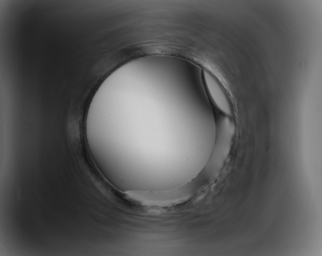 X0000087750105200705291041