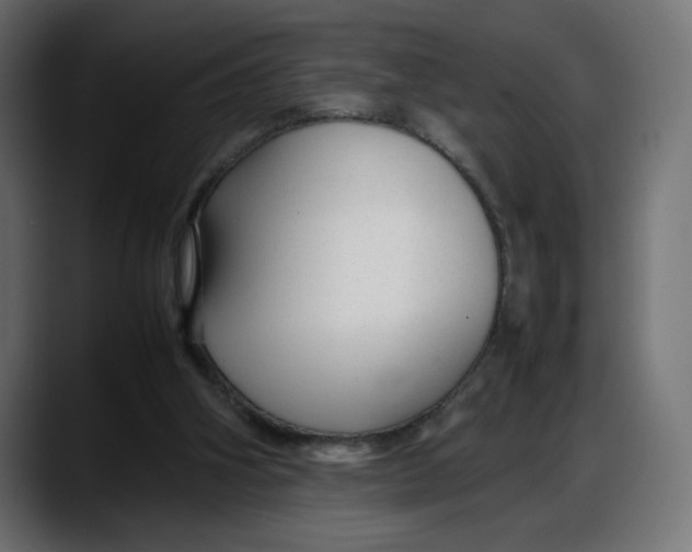 X0000087750106200705291041