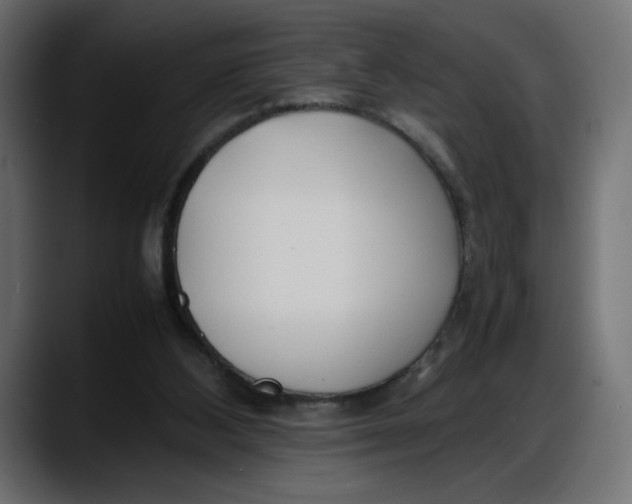 X0000087750108200705291041