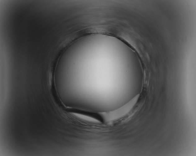 X0000087750109200705291041