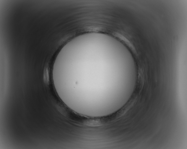 X0000087750110200705291041