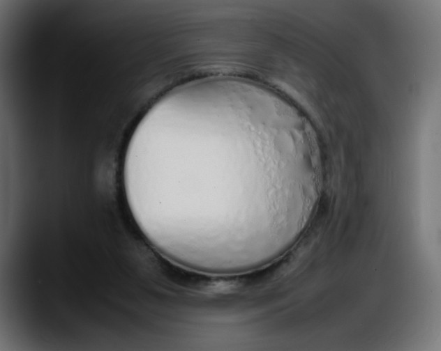 X0000087750111200705291041