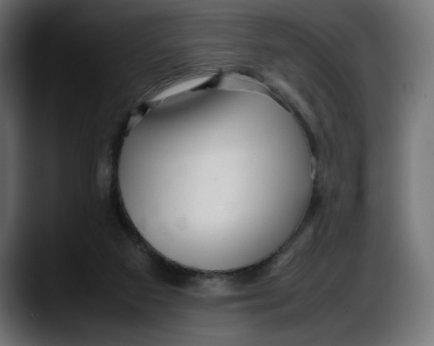 X0000087750113200705291041