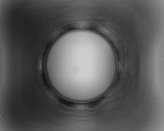 X0000087750115200705291041