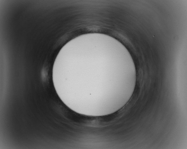 X0000087750116200705291041