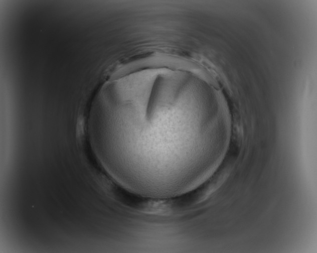 X0000087750117200705291041