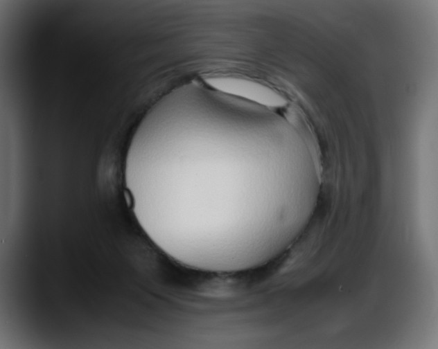 X0000087750119200705291041