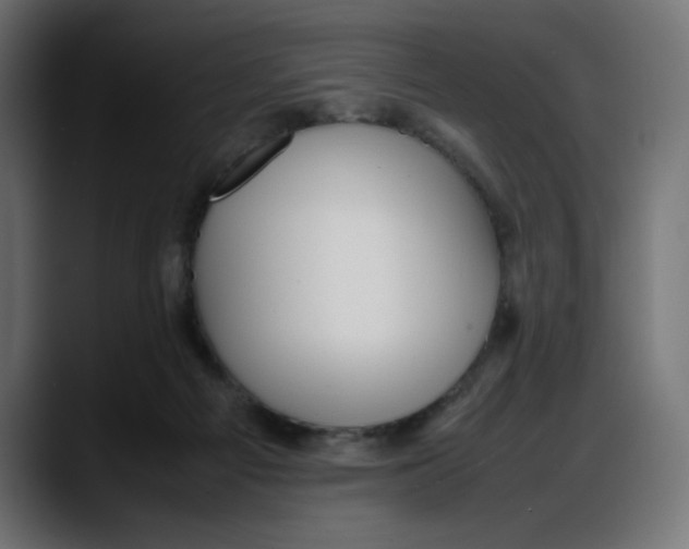 X0000087750121200705291041