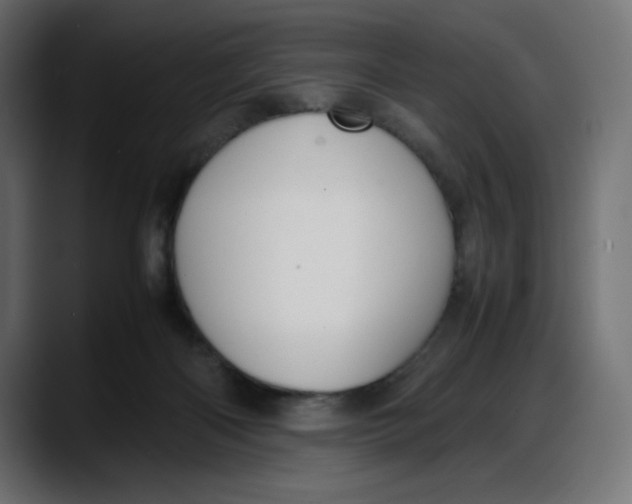 X0000087750122200705291041