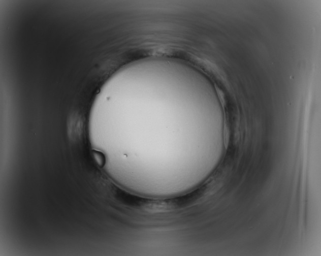 X0000087750123200705291041