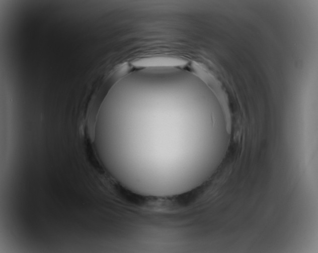 X0000087750125200705291041