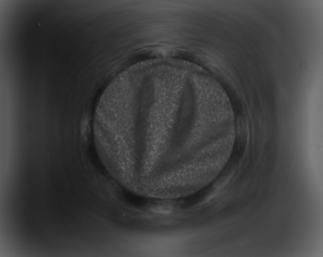 X0000087750127200705291041