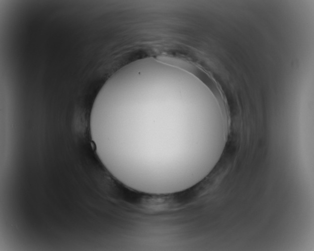 X0000087750129200705291041