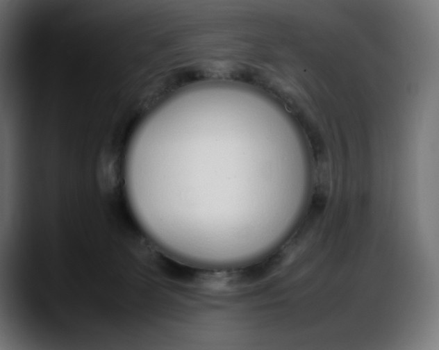 X0000087750131200705291041