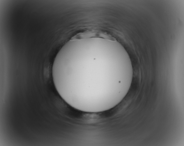 X0000087750133200705291041