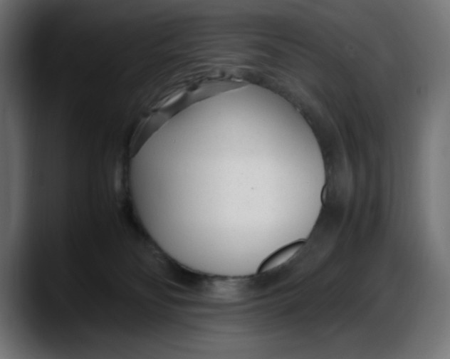 X0000087750134200705291041