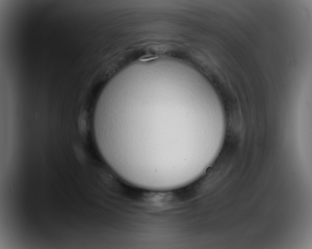 X0000087750135200705291041